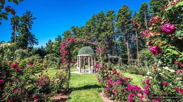 Lyndhurst_s concentric Rose Garden via Art Marshall